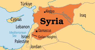 Cartina politica della Siria